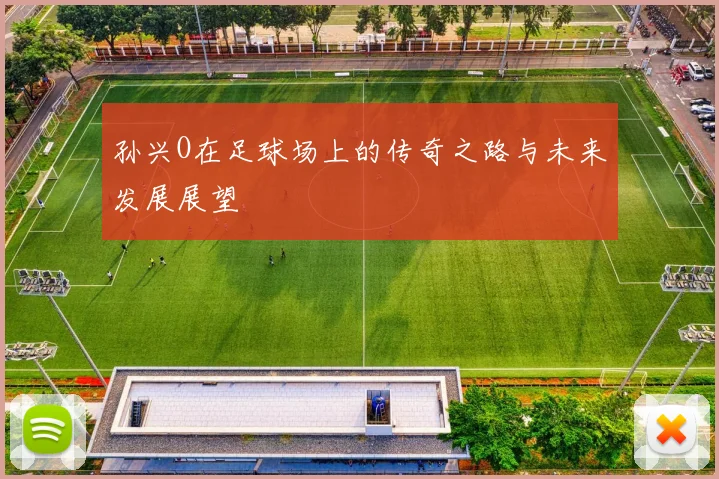 孙兴O在足球场上的传奇之路与未来发展展望