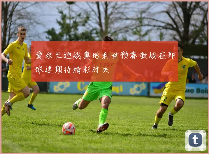 爱尔兰迎战奥地利世预赛激战在即球迷期待精彩对决