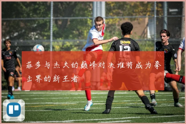 菲多与杰夫的巅峰对决谁将成为拳击界的新王者