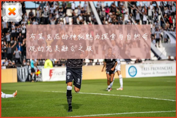 布莱克尼的神秘魅力探索与自然奇观的完美融合之旅