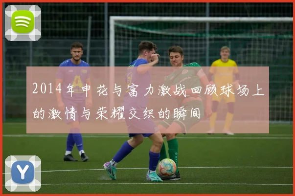2014年申花与富力激战回顾球场上的激情与荣耀交织的瞬间